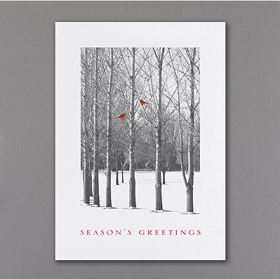 Cardinal Christmas Cards Online